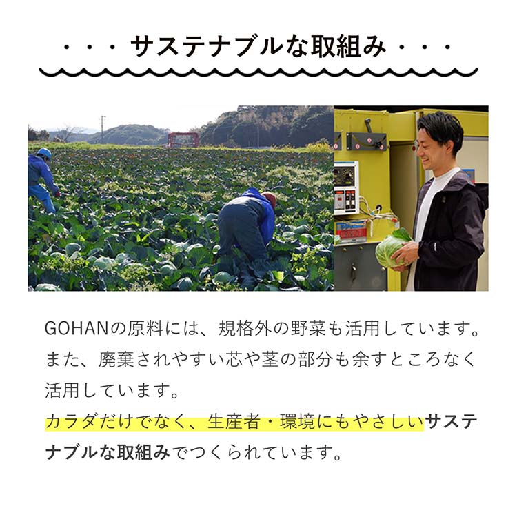 朝食クッキーGOHAN チョコレート