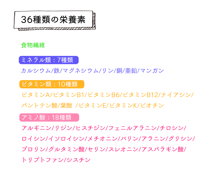 朝食クッキーGOHAN チョコレート