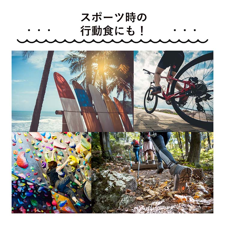 朝食クッキーGOHAN プレーン